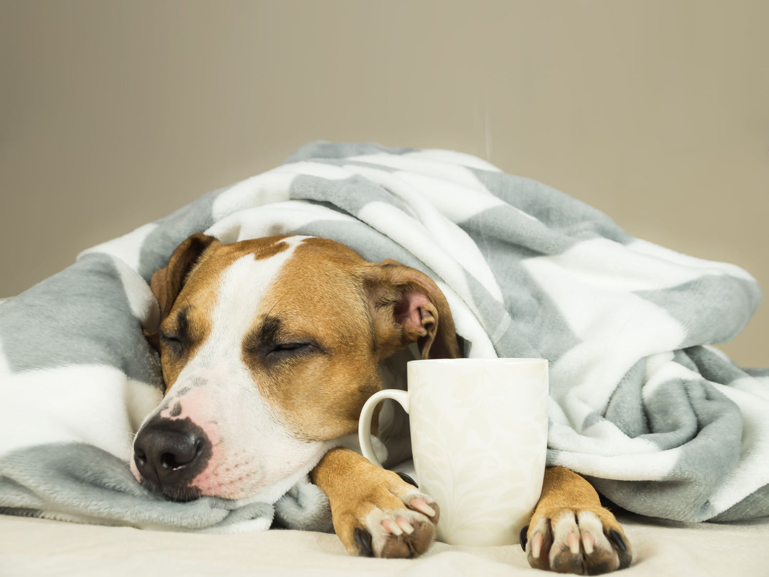 10 tips for a better night's sleep (backed by research)